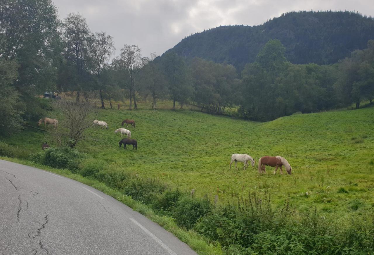 New And Exclusive Cottage In Voss With A Great View Skulestadmo Zewnętrze zdjęcie